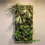 木艺边框仿真绿植壁挂画 仿真植物墙饰 室内环保多肉植物装饰壁挂