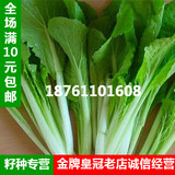 阳台种菜蔬菜种子 小白菜种子 青菜种 庭院盆栽四季播 易种生长快