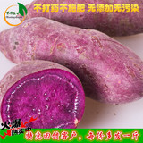 生态种植 香糯紫薯新鲜生红薯有机番薯迷你小紫心薯袖珍地瓜包邮