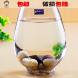 趣植园艺 圆形透明玻璃金鱼缸 水培玻璃花瓶花盆 定植篮P244