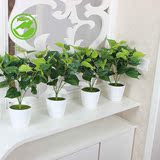 40厘米小绿植盆栽仿真植物绿萝叶塑料假花仿真花客厅酒店桌摆装饰