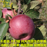 8月熟 昭通苹果水果红富士 新鲜冰糖心丑苹果 果园直销 10斤中果