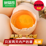 【誉福园】正宗农家散养新鲜土鸡蛋草鸡蛋 孕妇月子宝宝鸡蛋 20枚