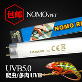爬虫UVB10.0灯管UVB5.0紫外线灯具爬虫箱陆龟箱乌龟守宫蜥蜴鬃狮