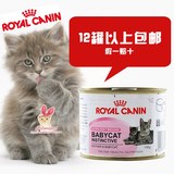 Cclovepet/法国皇家1-4月幼猫奶糕BB猫罐/孕猫罐头195g 幼猫罐