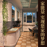 家能量-整体橱柜定做 实木橱柜门 美国白蜡 整体厨房 地中海系列