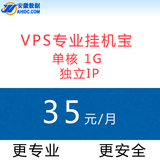 VPS挂机宝 独立IP 国内VPS服务器租用 1G内存 10M独享 月付