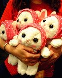 日本Choo cat可爱小猫咪公仔毛绒玩具婴儿安抚娃娃玩偶生日礼物女