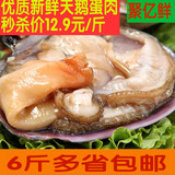 超大蛤蜊肉 大天鹅蛋肉 包饺子超好吃 冷冻海鲜贝类500g水产海鲜