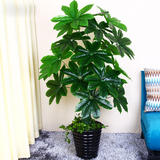 假花仿真客厅室内绿植假树发财树仿真植物大型落地盆栽景塑料装饰