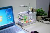 桌面迷你小鱼缸带LED灯 电脑办公桌小鱼缸水族箱 创意usb笔筒鱼缸