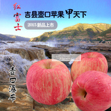 山西吉县壶口红富士苹果10斤包邮2015新鲜水果吉县红富士壶口