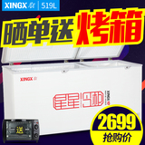 XINGX/星星 BD/BC-519E 大冰柜商用冷柜大型冷冻冷藏卧式单温雪柜
