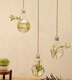 创意透明玻璃花瓶 多肉植物花瓶 现代家居时尚悬挂式水培灯炮花瓶