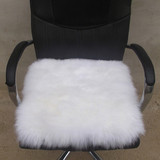 秋冬季纯羊毛办公室坐椅坐垫加厚汽车坐垫家用闲椅电脑沙发餐地垫