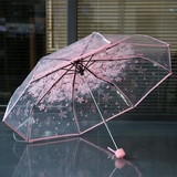 日本创意樱花树荫三折透明伞 女雨伞韩国 折叠可爱小清新雨伞