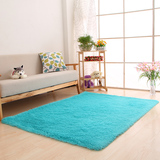 【天天特价】j家用防滑丝毛地毯客厅床边榻榻米满铺地垫可定制