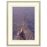 摄影帆船装饰画 美式原版进口 高档香槟色实木框 玄关书房挂画554