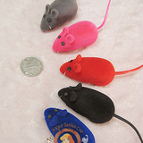 猫狗玩具宠物玩具发声玩具 宠物最爱老鼠玩具超可爱毛绒小老鼠