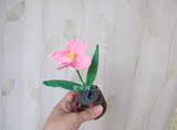 居家摆设 摆台 竹炭 活性炭 手工花朵 单栀子花 消灭甲醛净化空气