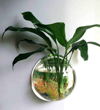 生态花瓶壁饰插花水培花器150mm办公桌面鱼缸花盆房间客厅装饰品