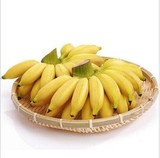 哈尔滨同城新鲜水果干果进口帝王蕉香蕉皇帝蕉1串配送年货