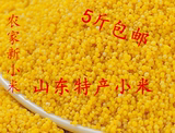 农家新小米小黄米有机杂粮粗粮特产原生态产品500g包装满5斤包邮