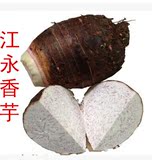 正宗江永香芋 槟榔芋 芋头江永四香之一 新鲜蔬菜 5斤包邮