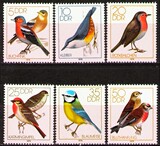 德国 东德 1979 自然保护 鸟类 鸣禽 朱顶雀 苍头燕雀 邮票