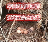 正宗农家土鸡蛋20枚包邮农家散养土鸡蛋草鸡蛋纯天然杂粮月子蛋