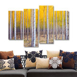 现代欧式沙发背景客厅装饰画走廊过道三联画无框画白桦树风景挂画