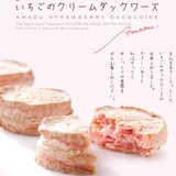 蓝莱海淘 日本博多特产 風美庵 草莓奶油夹心烤饼 5个入 香软美味