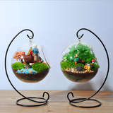 微景观透明玻璃吊球插花瓶 心形铁艺吊架 创意悬挂式植物水培器