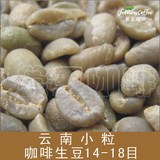 釜王精选 云南普洱小粒咖啡生豆统豆14目以上阿拉比卡 1kg