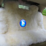 正品澳洲纯羊毛汽车坐垫 整皮冬季通用座垫 全长毛3件套 白长毛绒
