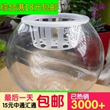 玻璃花瓶水培植物花盆圆球花瓶玻璃圆瓶含定植篮满15包邮绿植专用