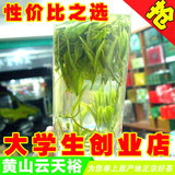 2016新茶叶 清谷黄山毛峰 春茶 特级安徽高山有机绿茶200g/罐包邮