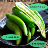 惠鲜汇 鲜嫩 杭椒 一点不辣 小辣椒 新鲜蔬菜 250g有杭州同城配送