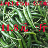 小米椒 尖椒 新鲜青辣椒 农家种植 有机小尖椒 朝天椒 特别辣 1斤