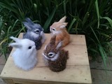 仿真小动物家居摆件儿童宝宝毛绒玩具玩偶可爱萌兔子卧兔兔大白兔