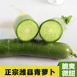 新鲜蔬菜山东特产正宗潍县青萝卜夏庄水果萝卜5斤包邮生态农产品
