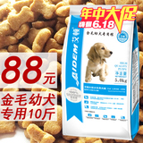 艾顿宠物系列 狗粮 金毛幼犬专用 5kg 10斤 牛肉味天然美毛犬粮