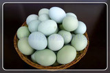 绿壳鸡种蛋 五黑一绿 绿壳受精种蛋 五黑鸡种蛋 高纯度绿壳种蛋