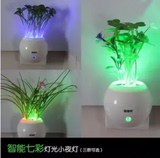 欧普特光控小夜灯 插电智能LED灯 新品仿真植物自动感光灯Y-10