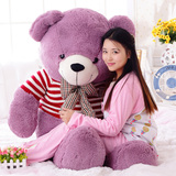 超大号公仔紫色大熊1.6米毛绒玩具泰迪熊抱抱熊猫娃娃小狗熊1.2米