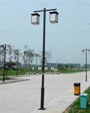 双头仿古中式庭院灯3米3.5米路灯小区路灯草坪灯户外灯LED景观
