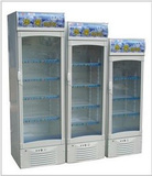 华荣陈列柜350L  立式陈列柜 展示柜 冷藏柜 酒水饮料柜