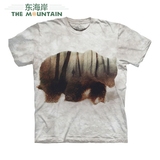 美国代购the mountain2016新款灰色创意森林灰熊潮装短袖夏季T恤