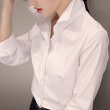 女士白衬衫2015秋冬装新款韩版长袖大码宽松休闲打底修身上衣衬衣