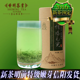 预售信阳毛尖2016新茶叶明前特级嫩芽毛尖绿茶自产自销春茶250g